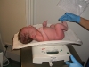 Aaron being weighed just after birth.