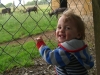 At Dartmoor Zoo