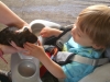 Meeting  a Guinea Pig at Pennywell Farm